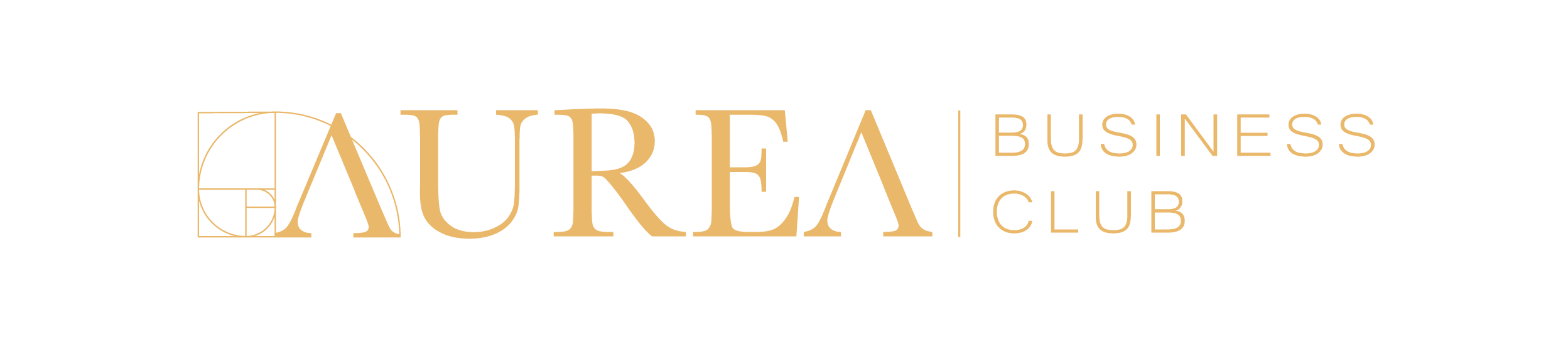 AUREA BUSINESS CLUB